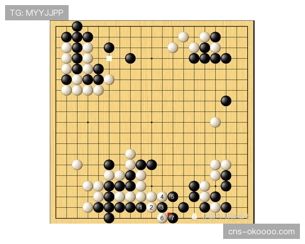 长三角体育节象棋比赛在沪落幕，近200名棋手以棋会友