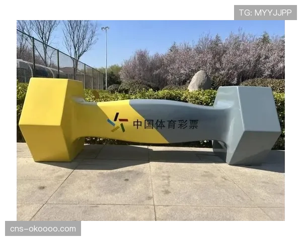 体育彩票公益金在全民健身设施建设中作用显著