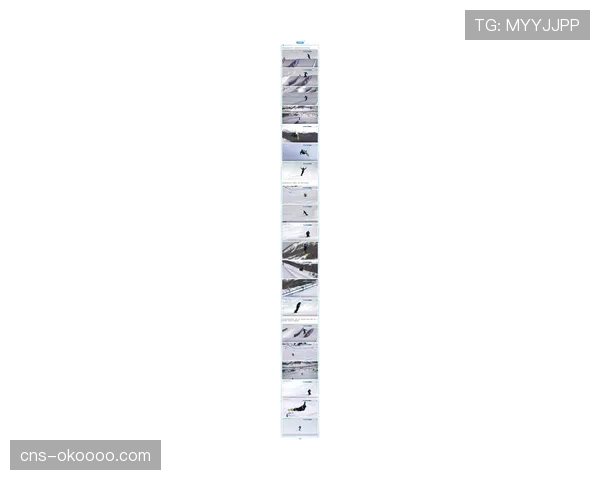 从雪道到领奖台:中国残奥单板滑雪队的米兰-科尔蒂纳之旅 从雪道到领奖台:中国残奥单板滑雪队的米兰-科尔蒂纳之旅